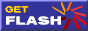 get flash player